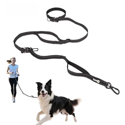 Hands Free Dog Leash for Walking Running Jogging