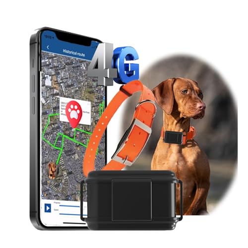 Zeerkeer 4G GPS Cani da caccia Tracker senza ABO localizzazione dal vivo in tutto il mondo, impermeabile Collare per cani con ricerca di animali domestici grazie alla luce e al suono e al dispositivo