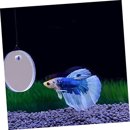 Image of Betta Fish Mirror for Aquarium Floating Training Mirror for Betta Exercise and Fish Tank Decoration 1.96X1.96 Inch Acrylic