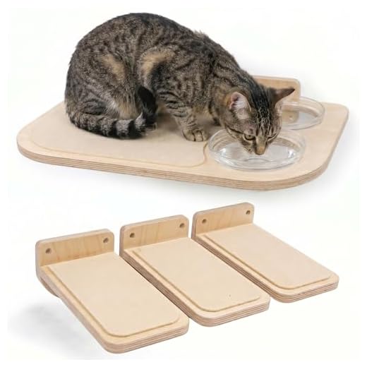 Wall-Mounted Cat Shelves with Food Bowls