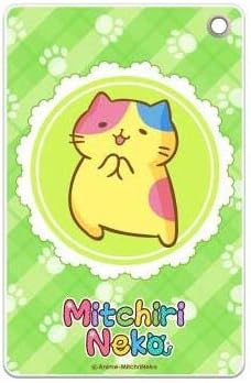 Amazon みっちりねこ カラフル スリムソフトパスケース アニメ 萌えグッズ 通販 Amazon みっちりねこ カラフル スリムソフトパスケース アニメ 萌えグッズ 通販