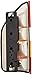 DEPO 334-1919R-AS Replacement Passenger Side Tail Light Assembly (This product is an aftermarket product. It is not created or sold by the OE car company)