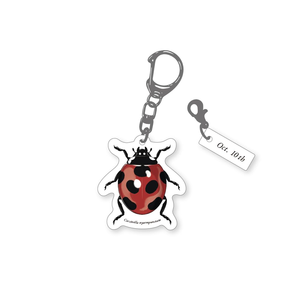 虫のキャラクター アクリルキーホルダー 楽天市場】アクリル キーホルダー 【 昆虫】【 蝶 】 透明