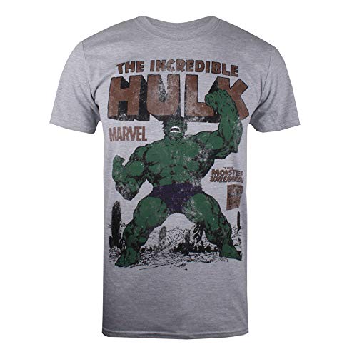 Marvel Hulk Rage T-Shirt, Grigio (Grey Marl Spo), (Taglia Produttore: Small) Uomo