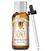 Honey Scented Oil by Good Essential (Huge 1oz Bottle - Premium Grade Fragrance Oil) - Perfect for Aromatherapy, Soaps, Candles, Slime, Lotions, and More!
