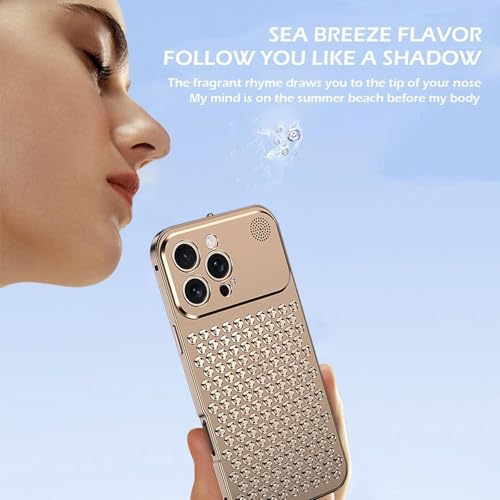 Coque en métal iPhone 16 Pro Max en aluminium