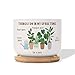 WODORO Custom Ceramic Pot 3 inches, Plant Pot Decorative, Cute White Small Tree Flower Pot Planters Indoor, She Shed Decor, Personalized Gifts for Her, Gardening Lovers, Gardener, Plant Lovers