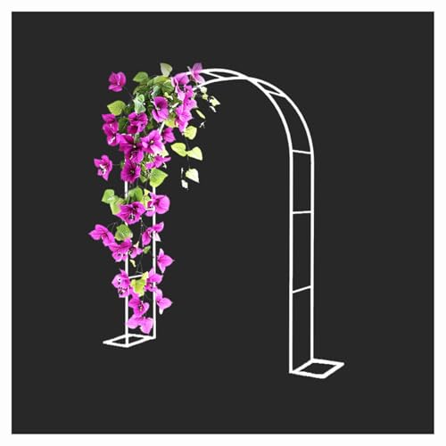 Arche de jardin pour plantes grimpantes avec structure stable en métal noir