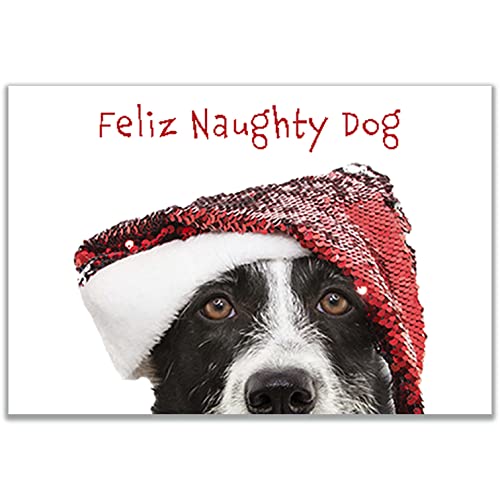 Allynn's 20 Funny Naughty Dog Christmas Cards, Boxed with Envelopes (Feliz Naughty Dog)