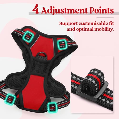 Image of rabbitgoo Dog Harness No Pull with 2 Leash Clips, Adjustable Soft Padded, Reflective Oxford No Choke Pet Vest with Easy Control Handle for Puppy, Red,XS | No Choke, Adjustable, Breathable Padded, 2 Lead Rings, Reflective, Easy Control for Walking Training, XS, Red