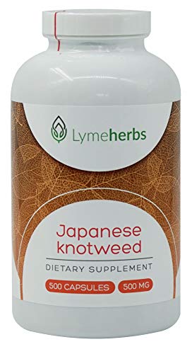 Poligono japonés 500 mg, 500 cápsulas.