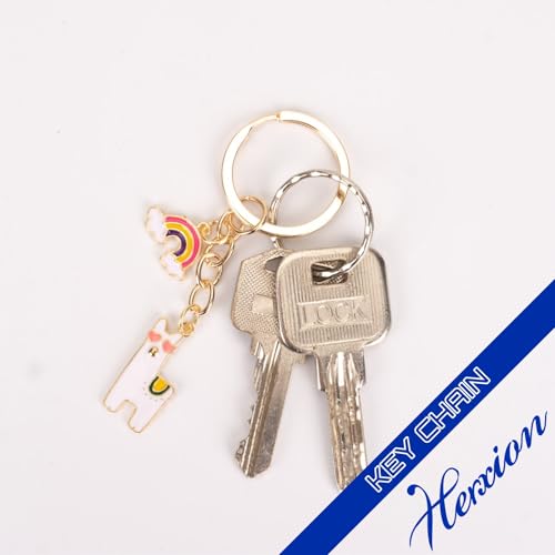 Image of Keychain for Women, Key Chains Women Cute, Enamel Durable Key Ring for Handbag & Bag.