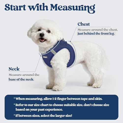 Image of rabbitgoo Dog Harness Medium Sized and Leash Set, Step-in Puppy Pet Vest