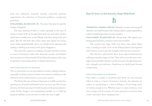 A Little Bit of Runes: An Introduction to Norse Divination (Little Bit Series) - Image 7