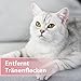 Felisept Augenpflege-Pads für Katzen 100 Stück - Mit Aloe Vera Extrakt - Fingerlinge zur Reinigung & Pflege des Augenumfelds - Katzen Pflege gegen Schmutz & Tränenstein - Augenreiniger Katze