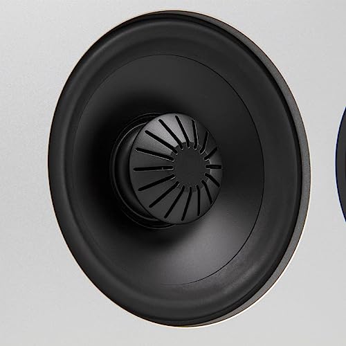 Definitive Technology Demand Series D5c 2-Way Center Channel Speaker | Superior Vocal Reproduction for Music & Movies | White, 25- inch (MGAB)