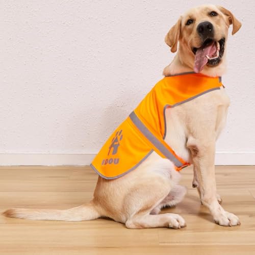 Best reflective dog vest