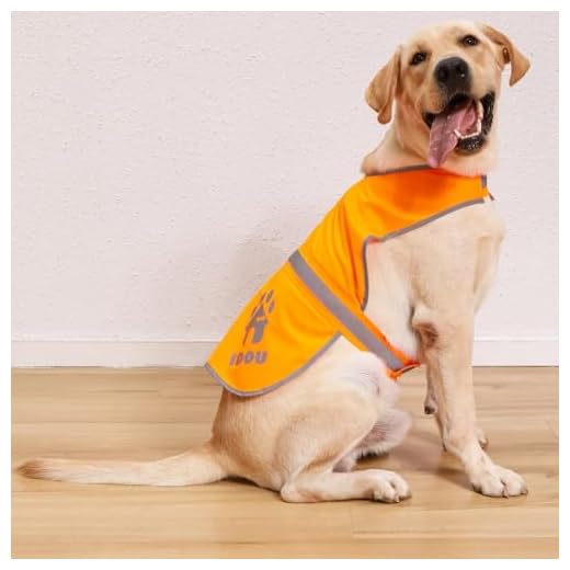 41M3dezuHXL._SS520_ Best reflective dog vest