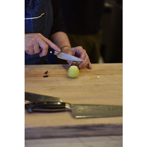 ZWILLING Pro Paring Knife, Silver/Black