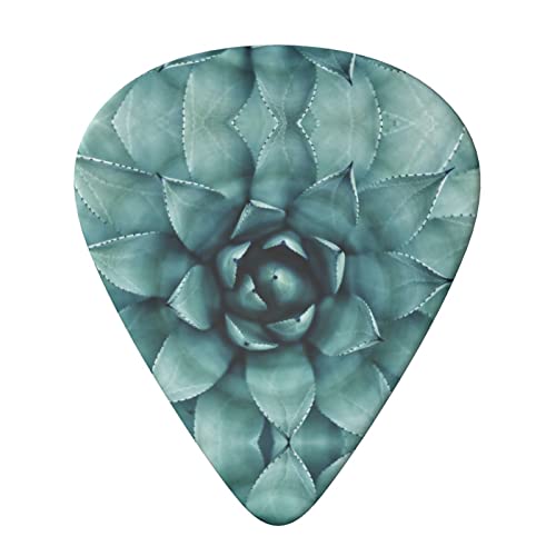 Succulent Plant Lot de 6 médiators pour guitare acoustique, guitare électrique, basse, ukulélé – fin, moyen et épais. - Les Beatles, Paul McCartney, John Lennon, RIngo Starr, George Harrison Succulent Plant Lot de 6 médiators pour guitare acoustique, guitare électrique, basse, ukulélé – fin, moyen et épais. – Image 4