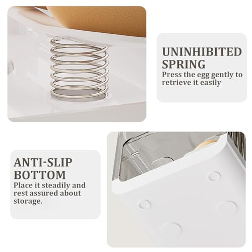 Support distributeur d'œufs pour réfrigérateur compact