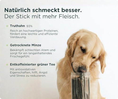 Wolf Belly - Dental Sticks Hund Getreidefrei (28 Stück) 93% Pute & Minze | Zahnpflege & Frischer Atem | Beruhigend & Beschäftigend | Leckerer Fleischgeschmack | Proteinreich - Made in Europe