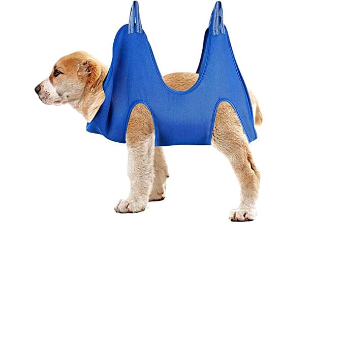 Pet Dog Grooming Hammock, Anti Scratch Cat Nail Cutting Harness Bag with Hooks, Small Dog Puppy Grooming Restraint Bag Pet Supplies for Nail (Blue)-image-30