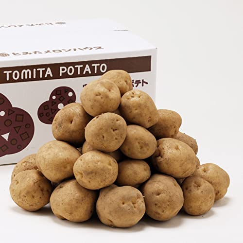 Ƃ݂nEX kC xǖY j݂ 10kg i