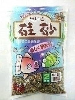 KK砂金74粒 Amazon | 硅砂2Kg大粒（1．5ブ） | 新胡産業 | 底床 通販