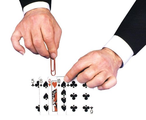 フォクシー・レイディー