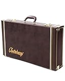 Oscar Schmidt AC449 Autoharp Case
