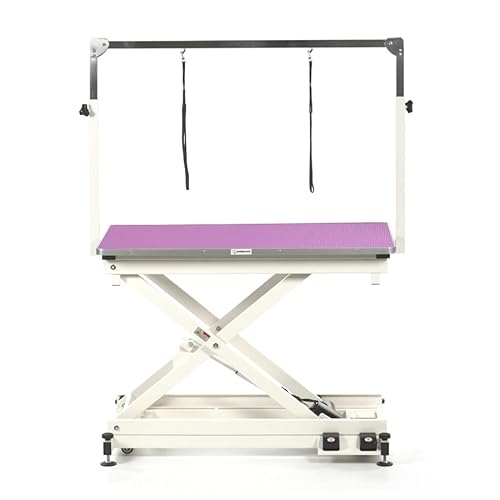 Pedigroom professional electric dog pet grooming table with H frame bar purple