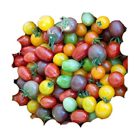 Amazon 種類が多い カラフルなチェリー ミニトマト 種 18粒 野菜