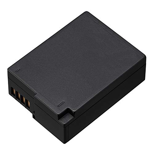 Batterie DMW-BLC12 compatible Panasonic accumulateur haute capacité pour appareil photo Lumix