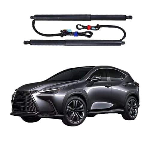 de[Q[gT|[g ɓK NTX NX 2018-2021 p[gNtg dnb` e[Q[gXgbg I[gAhAAN`G[^[ p[nb`tgT|[g(With Kick Senor)