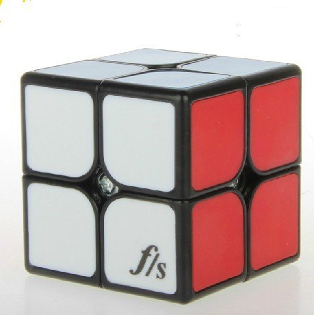 Fangshi Shuangren Funs Shishuang Tiled Small 2 x 2 x 2 Black Speed Cube Puzzle