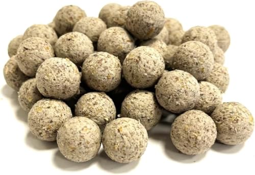 MALTBYS' STORES 1904 LTD Coconut Boilies 15mm 200g Shelf Life Fishing Bait SLCB