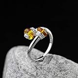 Material: Silber. NanXi Silber-Ring-Frau 925 Vintage Original Hand Made Simple Möbel S925 Silber eingelegt Thai Bernstein Schmuck-Ring justierbares ethnische Art Geschenke,Silber