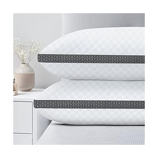 BedStory Pillows for Sleeping Queen Size Set of 2, Down Alternative Bed Pillows Premium Soft Filling for Back, Stomach or Side Sleepers, Dark Grey(18"x30")