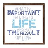 What Is Important in Life Is Life Framed Wood Plaque Saying Life And Living Motto Wooden Sign 7x7in Funny Proverbs Hanging Wall Art Motto Wood Framed Printed Sign for Home Bedroom Kitchen