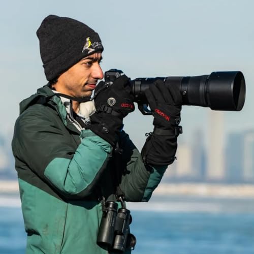 The 28-Year-Old Breaking Birding Records In Chicago Titelbild