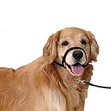 Con cierre de seguridad Bozal Collar educador para Perro  Bozal de Entrenamiento para Perro  Bozal Entrenamiento Talla S
