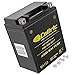 Caltric Agm Battery Compatible with Yamaha Bear Tracker 250 Yfm250 Yfm-250 2Wd 1999-2003