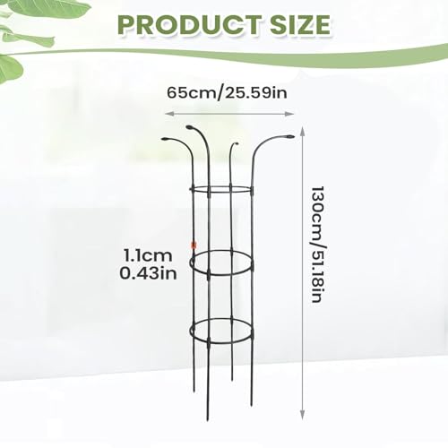 Treillis parapluie haut de gamme : structure stable et décorative en métal