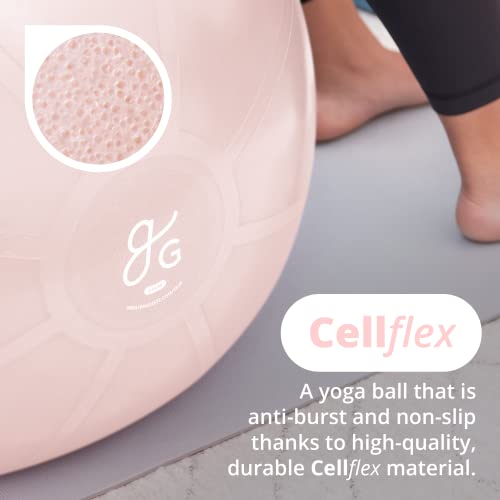 Greater Goods Professional Exercise Ball - Yoga Ball For Working Out, Balance, Stability, And Pregnancy | Medicine Balls In Multiple Sizes And Colors | Designed In St. Louis (55Cm, Blush Pink) #TOP1