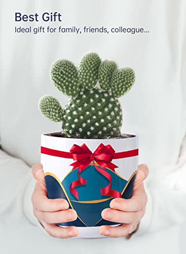 Chiree Ceramic Plant Pot Set 3 Pack Thickened Planter Pots With Drainage Hole Modern Plant Pots Round Succulent Cactus Orchid Flower Pot For Indoor Outdoor Use #TOP4