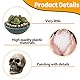 VIDSTW 20 Stück Totenkopf Deko, Halloween Deko Schädel, Mini Skull Deko Blumentopfdekoration, Horror-Thema Schädel Modell Deko Verbessern Festliche Atmosphäre, für Halloween, Horror Party
