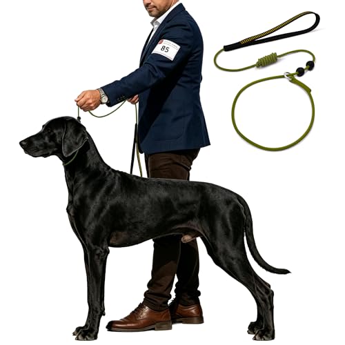 BeauGo Dog Training Leash 6ft,Training Rope Designed specifically for Dog Training and...