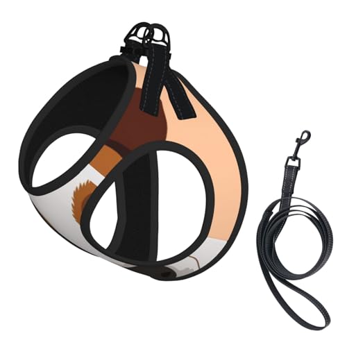 Chien Jack Russell Terrier,Harnais pour Animaux de Compagnie, Harnais réfléchissant