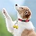 Nikeg Dog Collar Bells 2pcs Pet Location Tracking Collar Bell Loud Copper Bells with Lobster Clip Hanging Ring Accessories(ColorD)